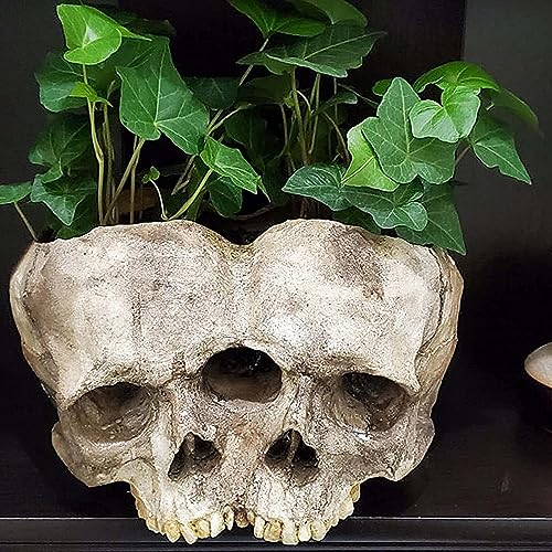 CHENRI Funny Skull Planter, Resin Skull Shaped Flower Succulents Pot, Lustiger Totenkopf Pflanzer, Harz Schädel Blumentopf, Halloween Schädel Kopf Blumentopf, Halloween Ornamente
