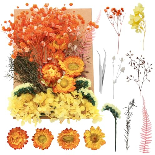 Aotfusd Trockenblumen, Getrocknete Blumen, Trockenblumen Zum Basteln Trockenblumen Gelb Set trockenblumen für Kerzen DIY Epoxidharz Scrapbook Zubehör Handgemachte Hochzeit Heimdekoration (Gelb)