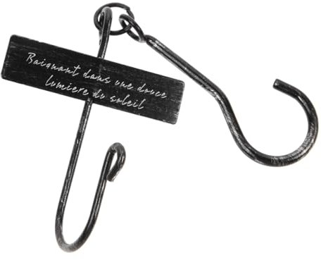 Happyyami Hakendekoration Aufhängehaken Für Dachrinnen Hängender Baum Hängehalterung Pflanzgefäße Mit Spalier Geländer Pflanzkisten Attraktive S-Haken Pflanzenrolle Blumenampel Black Eisen