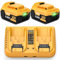 2X 18V 5.5Ah/5500mAh DCB182 DCB200 18V/20V Li-Ion + 4A Charger replacement battery for dewalt DCB184 DCB180 DCB200 battery