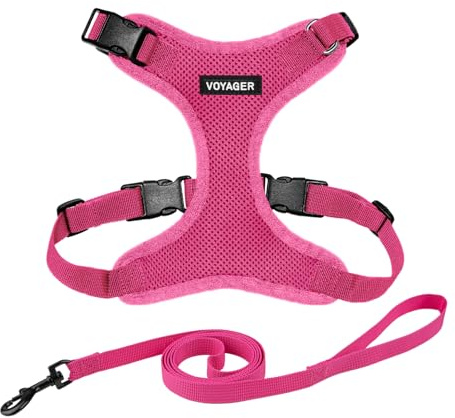 Voyager Step-in Lock Katzengeschirr und reflektierende Katzenleine mit Neoprengriff by Best Pet Supplies - Unterstützt kleine, mittelgroße und große Katzenrassen, Fuchsia, size XS - 1,5 m