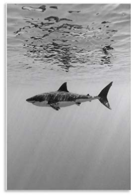 Schwarz-weiße Wandkunst, Hai, Leinwand-Kunst-Poster und Wandkunstdruck, modernes Familienschlafzimmer-Dekor, Poster, 40 x 60 cm