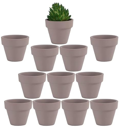Yishang Lot de 12 petits pots en terre cuite gris avec trous de drainage - 4,8 cm - Pour petits cactus, herbes, plantes succulentes, travaux manuels