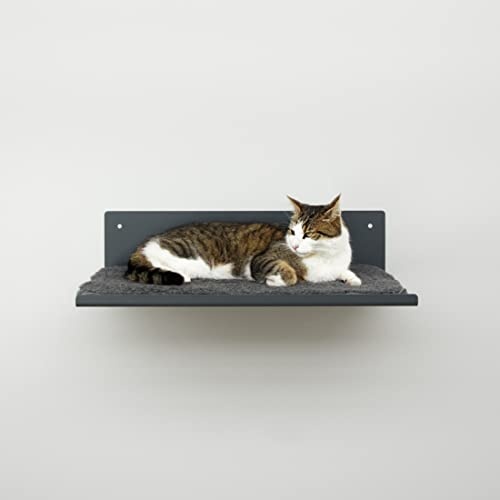 LucyBalu® Wandliege für Katzen | Katzenbett für die Wand | Anthrazit mit Woll-Auflage
