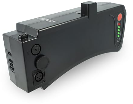 vhbw Batterie Compatible avec Curtis Alu-City vélo électrique (10,4Ah, 36V, Li-ION) - Noir