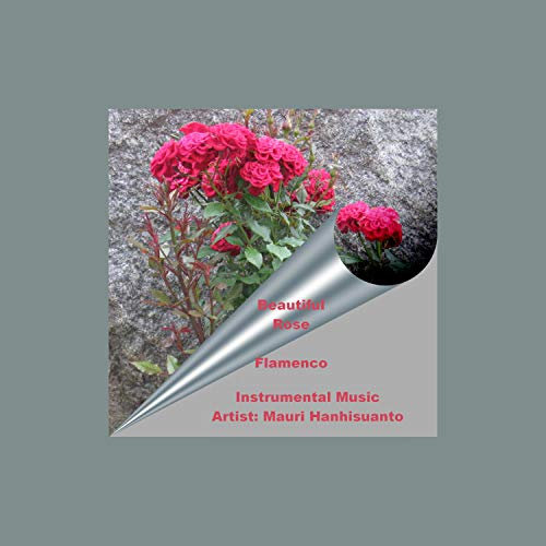 Beautiful Rose Flamenco