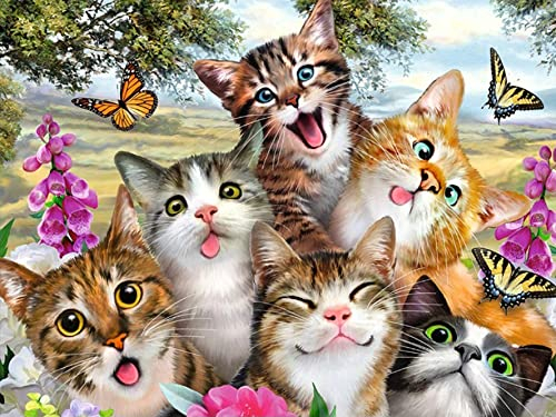 Bimkole 5D Diamond Painting Zubehör Katze Blume Bilder, DIY Tiere Diamant Malerei Kit Voll Runde Bohrer Malen nach Zahlen Malerei Stickerei Kreuzstich Diamond Dekoration (30x40 cm)