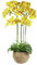 Leaf Design UK Realistic Artificial Orchid Flower Display in Pot, 80cm