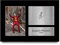HWC Trading Joaquin Phoenix Joker Batman Geschenke gedruckt Autogramm Bild für Film-Memorabilia Fans Signed - A4