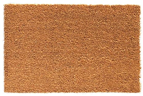 HPFloor Kokosmatte 100x80x1,7 cm I Fußmatte aus robusten Kokos-Fasern IFußabstreifer für Haustür Eingangsbereich I kokosmatte 1,7cm hohe Schmutzfangmatte I Türmatte pflegeleicht I Fussmatte in Nature