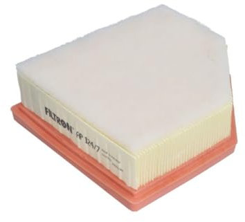 FILTRON LUFTFILTER AP 124/7