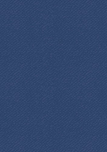 Heyda Bastelkarton Uni 50x70 220g d.bl