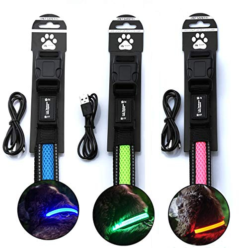 Illuminated Apparel Wiederaufladbares Hundehalsband mit LED-Beleuchtung, Blau, M/L (41–51 cm)