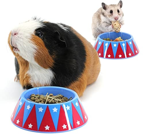 HAYPIGS Guinea Pig Bowl - Circus Themed Junior FOOD CRAVING TAMER Mini Guinea Pig Food Bowl - Hedgehog Bowl - Hamster Bowl - Small Animal Food Bowl