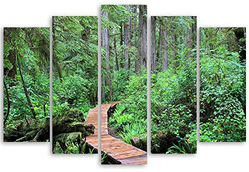 Feeby Tableau moderne adhésif jungle 5 panneaux décoratifs muraux nature vert 150x100 cm