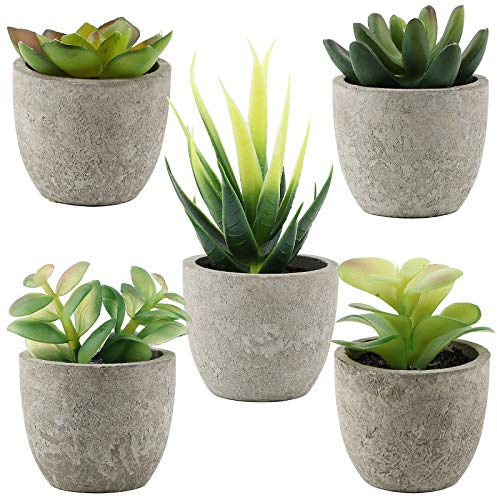 VINFUTUR 5 Pz Piante Artificiali Succulente Piante Finte Grasse con Vasi Decorazione da Interno e Esterno Casa Davanzale Cucina Scrivania