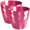 PECZEKO Pot de Fleurs Brillant, Pot de Fleurs en Plastique, Pot de Fleurs décoratif pour Grandes et Petites Fleurs, Lot de 2 Pots de Fleurs, Pots de Fleurs, Pots à Herbes, (Lot de 2) Rose, ø 14 cm