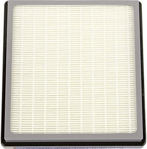 Filtro HEPA Nilfisk (per aspirapolvere)