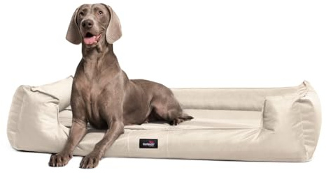 tierlando® Orthopädisches Hundebett Goofy für große Hunde XL bis XXXL mit waschbarerem Polyester-Bezug, ideal bei Gelenkproblemen Größe: 130x100cm | Farbe: 05 Creme