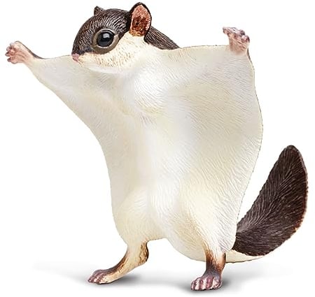 Toob Fliegendes Eichhörnchen