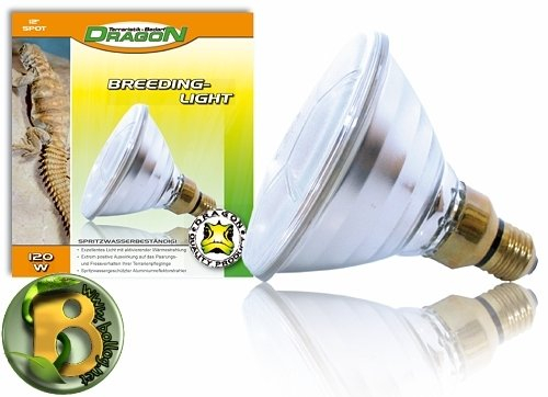 Dragon - Halogen Hochvolt Flood E27 - 175 Watt Breeding Light PAR38