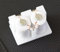 YALE ART.067010001 BOBINA DX PER SERRATURA ELETTRICA