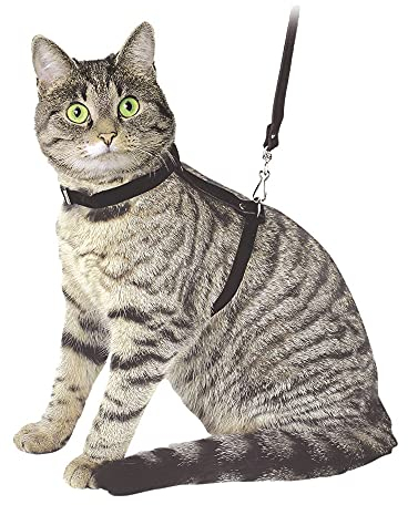 Kerbl Pet 83819 Katzengeschirr mit Leine 120 cm, schwarz aus Veloursleder