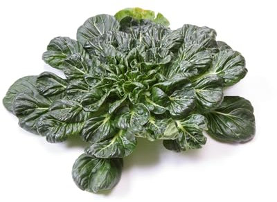 Just Seed Pak Choi - Tatsoi - Rossetta - 250 Seed