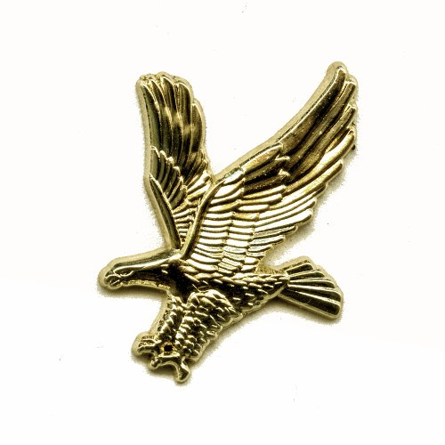 Goldfarbener Adler Greifvogel Seeadler 3D Metall Button Badge Pin Anstecker 0476