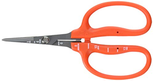 Edelstahl-Schere mit Fluor-Beschichtung von Chikamasa, B-500sf (Harz-resistent)