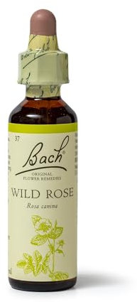 Bach Original Flower Remedies (Wild Rose) Live The Day, Show Enthusiasm, Emotional Wellness, Natural Flower Essence, 20ml