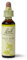 Bach Original Flower Remedies (Wild Rose) Live The Day, Show Enthusiasm, Emotional Wellness, Natural Flower Essence, 20ml