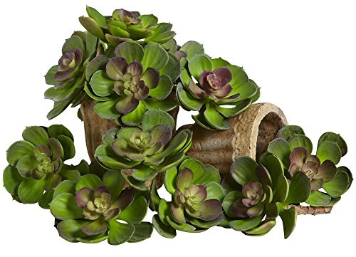 Nearly Natural 5in. Echeveria Succulent Plant (Set of 12)