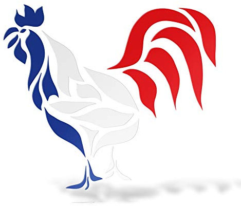 erreinge Autocollant France Gallo Gauche Schriftzug Imprimé en PVC Mural Sticker Mural pour Casque Auto Moto Camper pour Ordinateur Portable - 12 cm