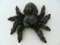 PIA International Plüschtier Spinne 19cm Stofftiere Kuscheltiere Spinnen Halloween Vogelspinne