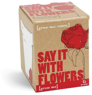 Gift Republic GR130007 Ltd Say it with Flowers Grow Me Kit, Multi