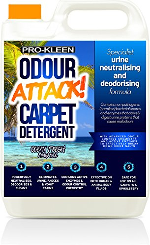 Pro-Kleen Odour Attack Pet Carpet Cleaner Shampoo Contains Active Enzymes to Digest Urine Proteins that Cause Malodours from Dogs Cats Humans, Eliminates Urine, Faeces & Vomit Stains - Neutralises, Deodorises, Suitable for All Carpet Types and Machines (5 Litre Ocean)