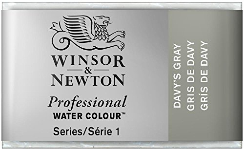 Winsor & Newton 0100217 Professional Aquarellfarbe, lebendige Wasserfarben in Künstlerqualität, hohe Farbbrillanz & Leuchtkraft, lichtecht, Archivqualität, ganzer Napf - Davy's Grau