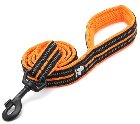 Truelove Reflective Padded Nylon Dog Training Lead, Orange, M(100cm) | Alloy Swivel Hook, Ergonomic Padded Grip, Tear Resistant Webbing, Reflective Night Strap, All Dog Breeds, Walking & Training