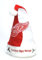 Forever Collectibles NHL Detroit Red Wings Colorblock Santa Hat