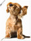 ARTLAND Wanddeko Poster & Kunstdrucke Wandposter 60x80 cm Hund Tiere Musik Dackel Welpen Lustig Kunst Surreal Modern Kunst T5QE