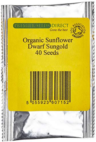 PREMIER SEEDS DIRECT Sunflower - SUNGOLD Dwarf - 40 Seeds - Organic