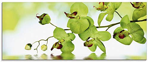 ARTland Wanddeko Glasbilder Wandbild Glas Bild einteilig 125x50 cm Querformat Natur Blumen Blüten Orchideen Botanik Floral T5OW