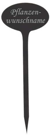 Acrylglas Pflanzschilder Oval grau transparent - Gartenstecker, Kräuterschilder, Pflanzenstecker - Auswahl + Wunschname - wetterfest, Pflanzenname:Majoran
