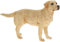 Best of Breed Figur stehender Goldener Labrador, 1 Stück, 18 x 5 x 12 cm, Mehrfarbig
