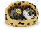 Teddys Rothenburg Katze im Körbchen, 16 cm, grau/beige, Plüschkatze in Korb
