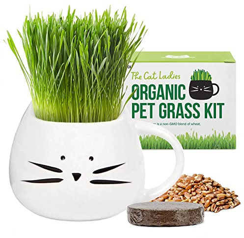 The Cat Ladies Erba per Gatti da Interno - Kit di Coltivazione - con Semi Terriccio e Fioriera a Forma di Tazza - Snack Naturale per Gatti - Aiuta la Digestione Contro Boli di Pelo