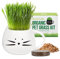 The Cat Ladies Erba per Gatti da Interno - Kit di Coltivazione - con Semi Terriccio e Fioriera a Forma di Tazza - Snack Naturale per Gatti - Aiuta la Digestione Contro Boli di Pelo