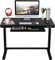 FLEXISPOT Comhar EW8B Electric Standing Desk Home Office Electric Height Adjustable Standing Desk Sit Stand Desk with 120 * 60cm Black Wood Top (Black Frame+Black Wood Top)