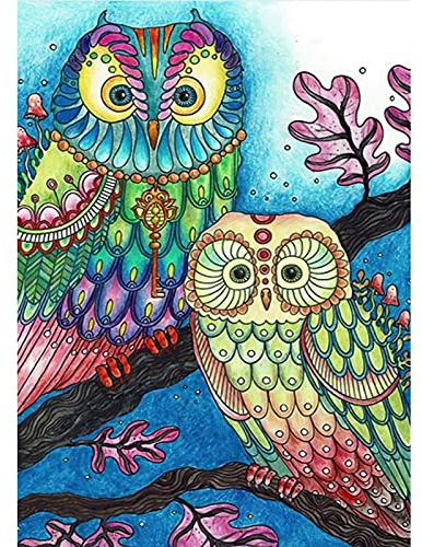 VETPW 5D DIY Paar Eulen Diamant Malerei Set Erwachsene, DIY Voller Diamond Pasted Painting Strass Stickerei Kreuzstich Kunst Handwerk Diamant für Home Wall Wanddekoration (30x40CM)